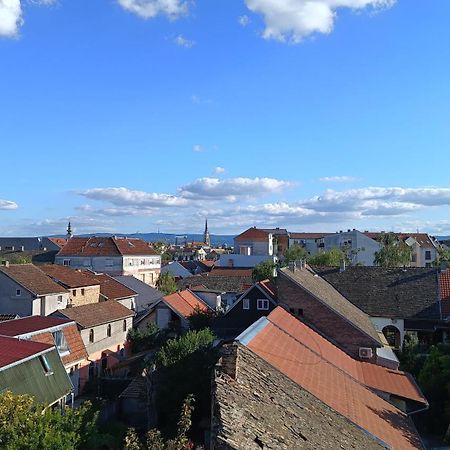 Amarilis Apartment Újvidék Kültér fotó